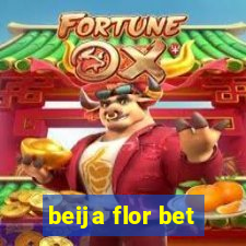 beija flor bet